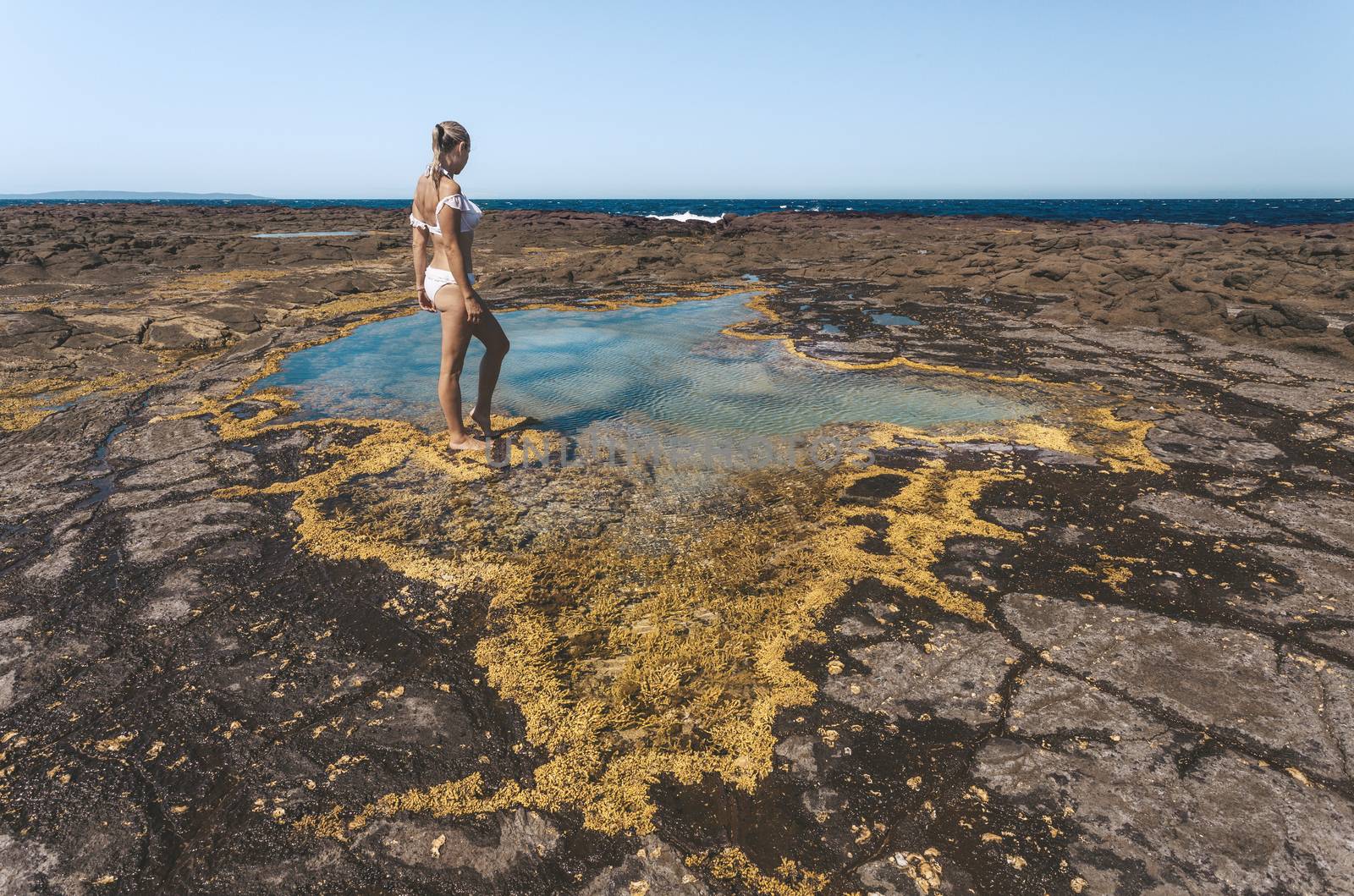 A woman stands by a small rockpool on the coastal rock shelf which is lined with a pretty yellow seaweed.