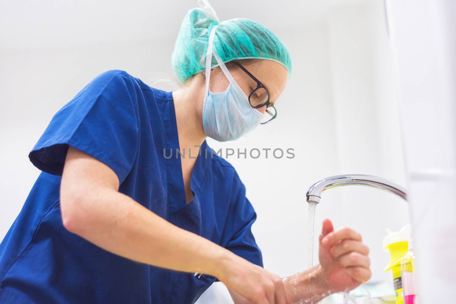 Veterinary surgeon washing hands before operating by HERRAEZ