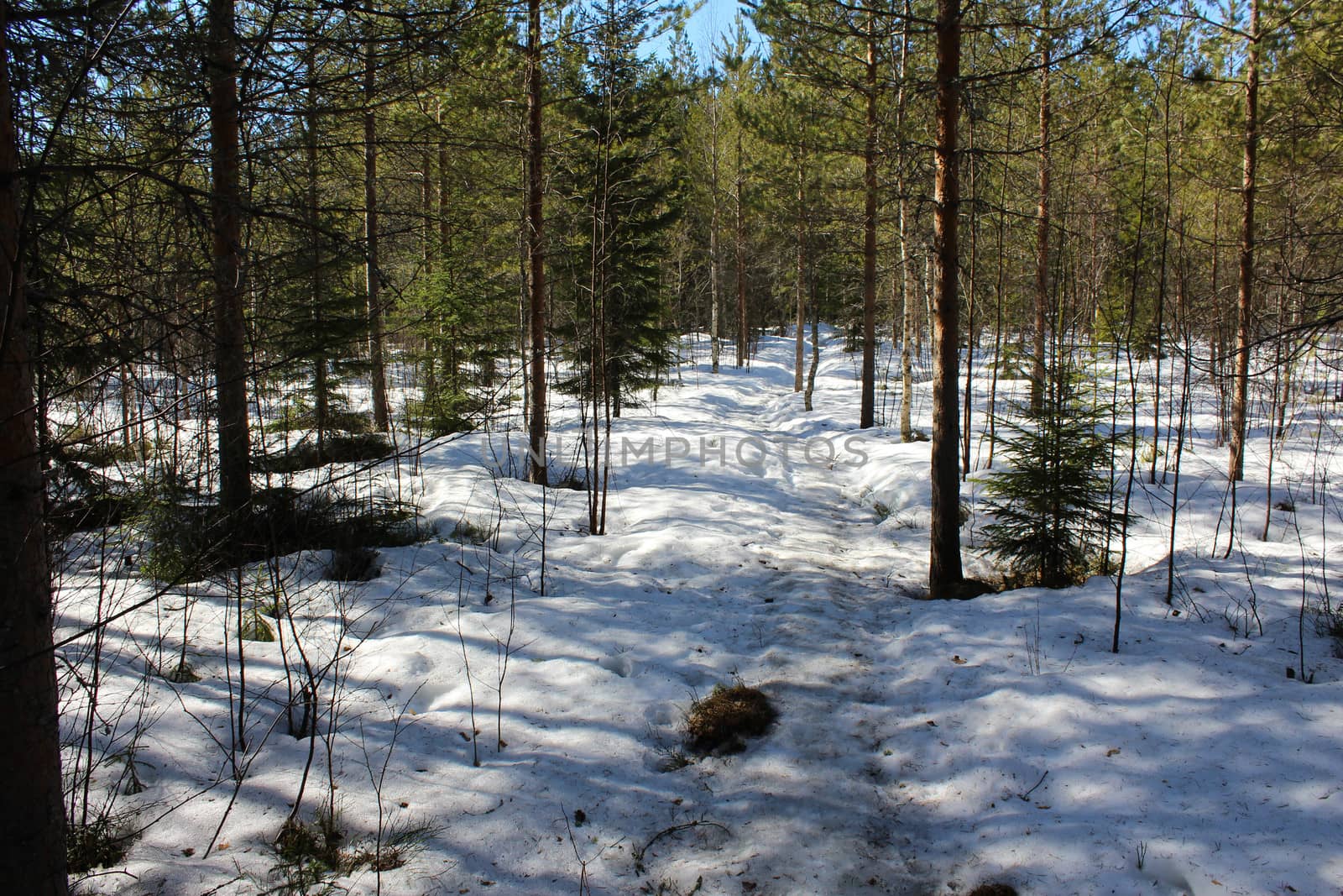 Overview Björnlandet National Park in Sweden