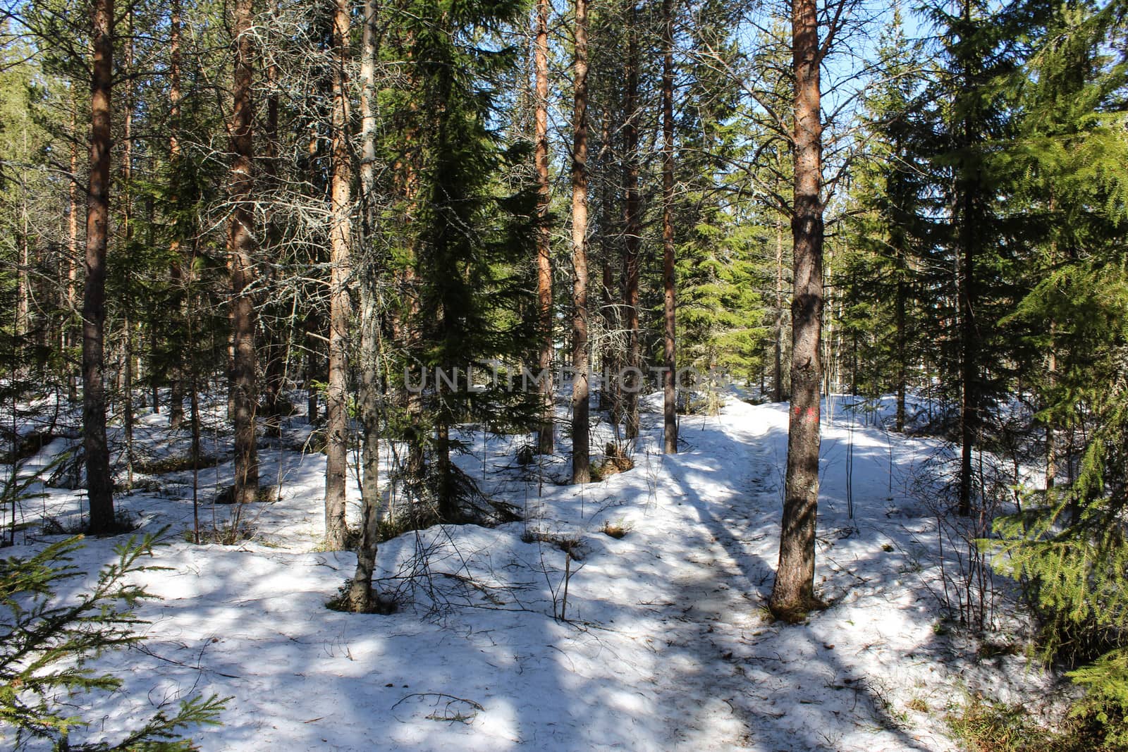 Overview Björnlandet National Park in Sweden