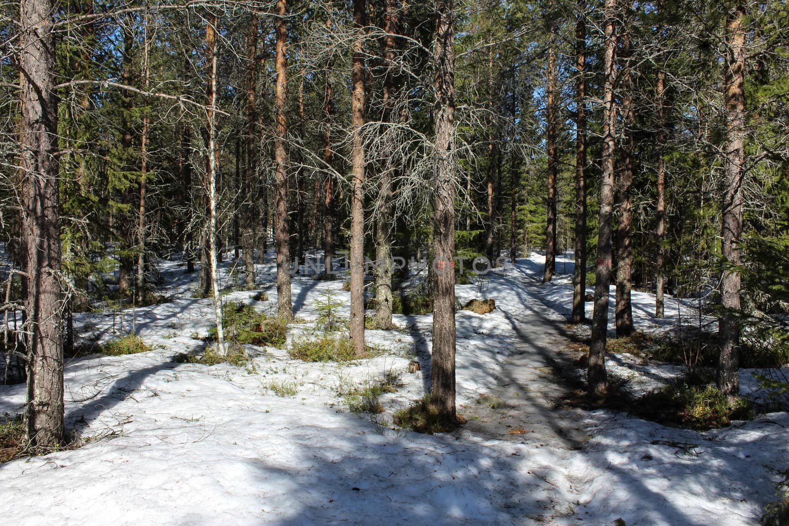 Overview Björnlandet National Park in Sweden
