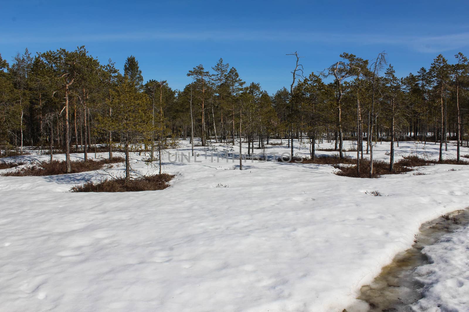 Overview Björnlandet National Park in Sweden