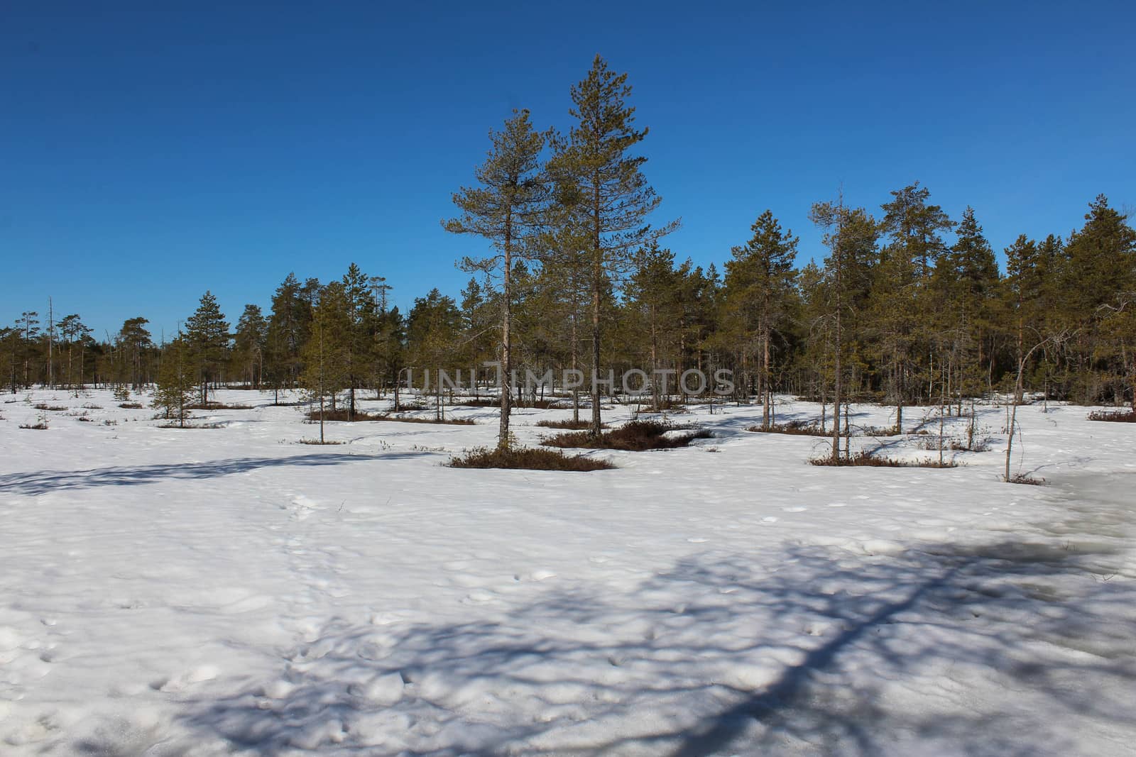 Overview Björnlandet National Park in Sweden