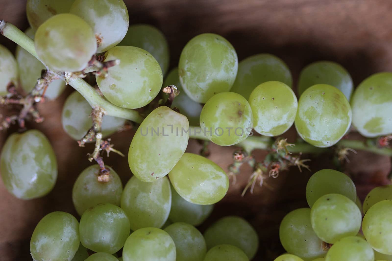 close up of fresh White grapes