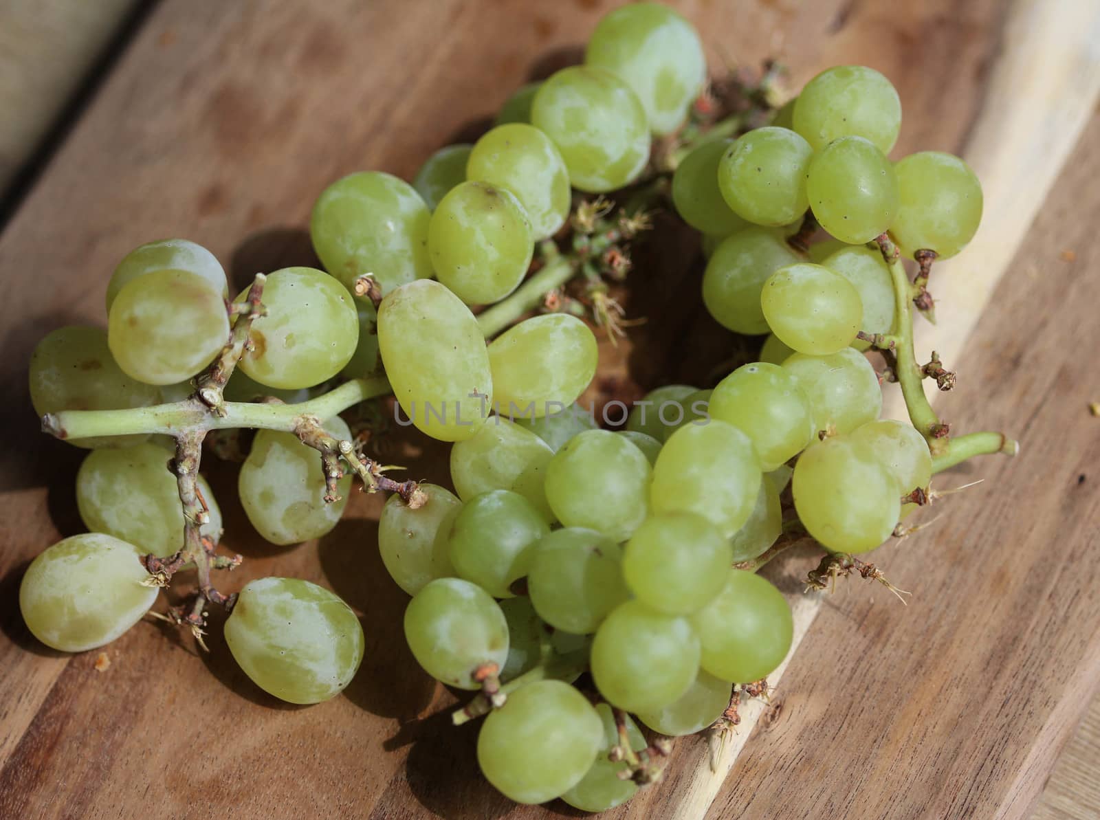 close up of fresh White grapes