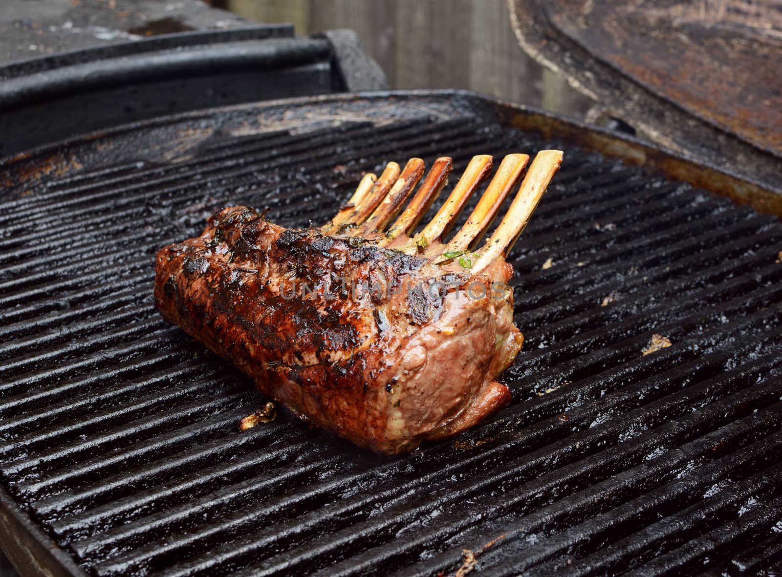 Juicy rack of lamb with seven ribs grilling on a summer barbecue