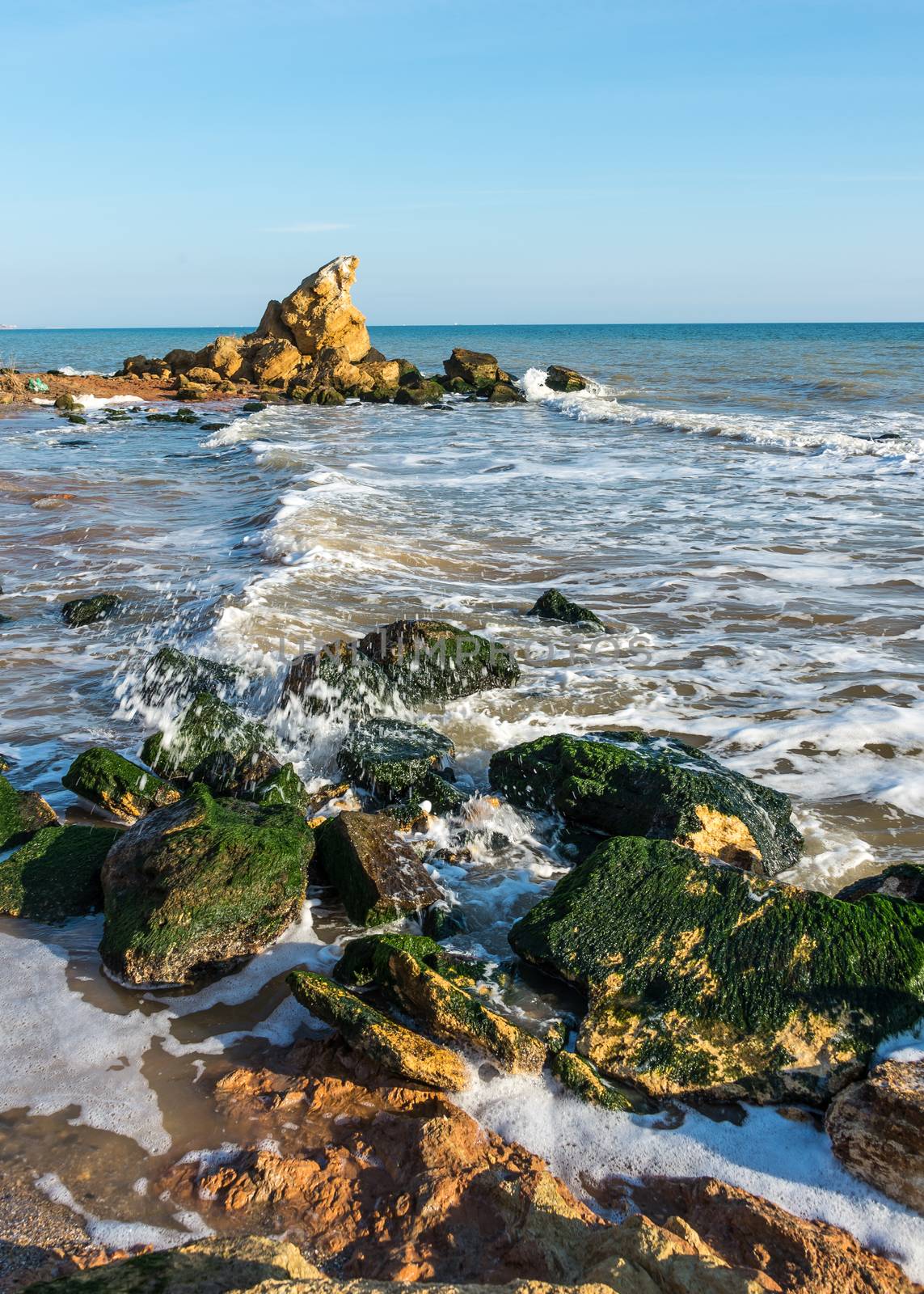 Stones covered with green algae on the Black Sea coast near the village of Fontanka, Ukraine