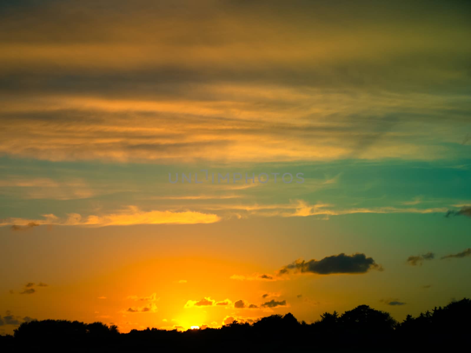 Silhouette of grass in sunset and clouds