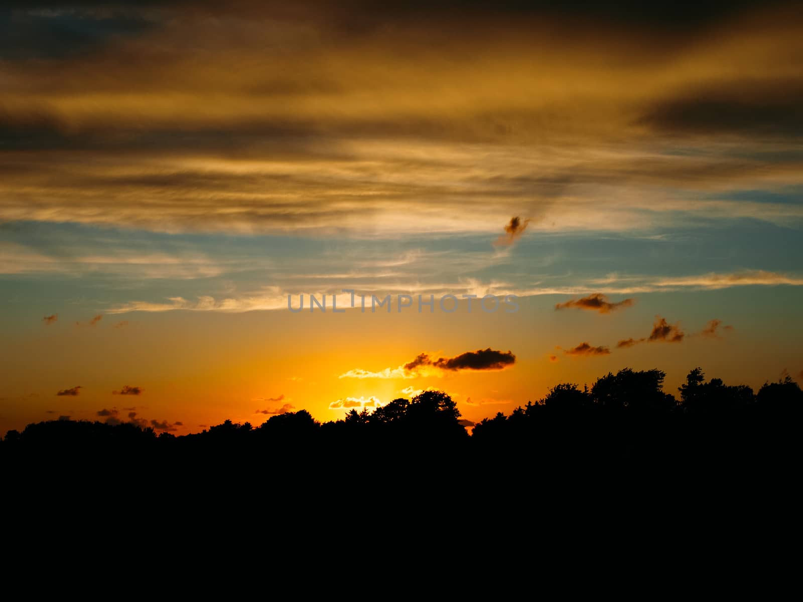 Silhouette of grass in sunset and clouds