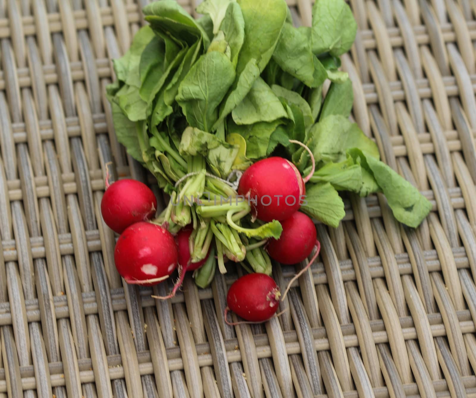 close up of Bush of radish on wooden table background