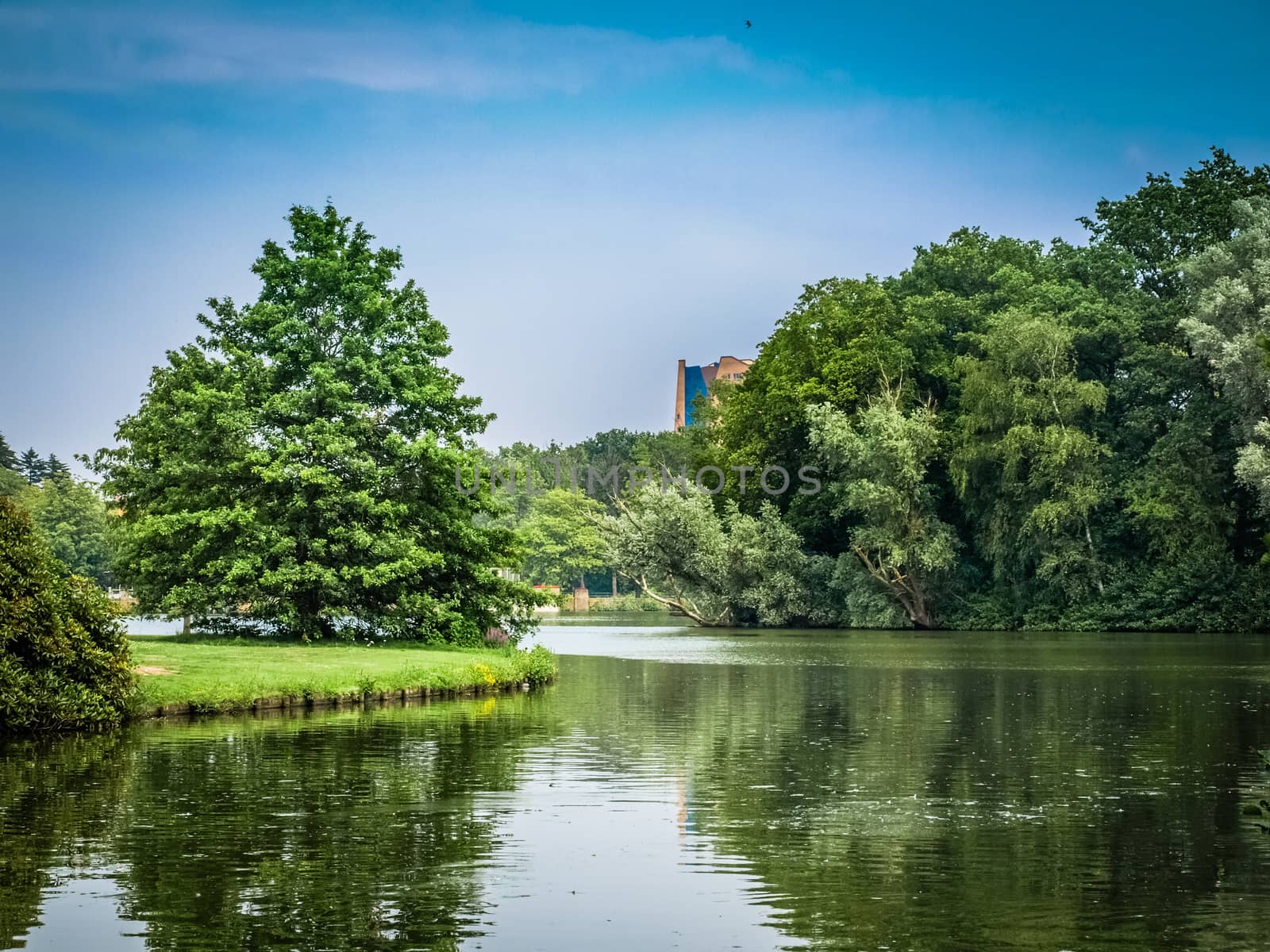 Beautiful pond with different trees around and blue sky at summer