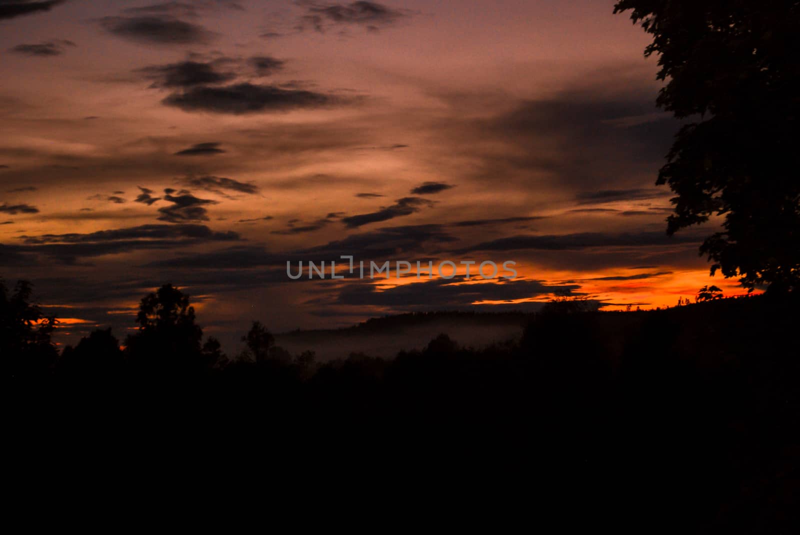 A dramatic sunset sky above a forest