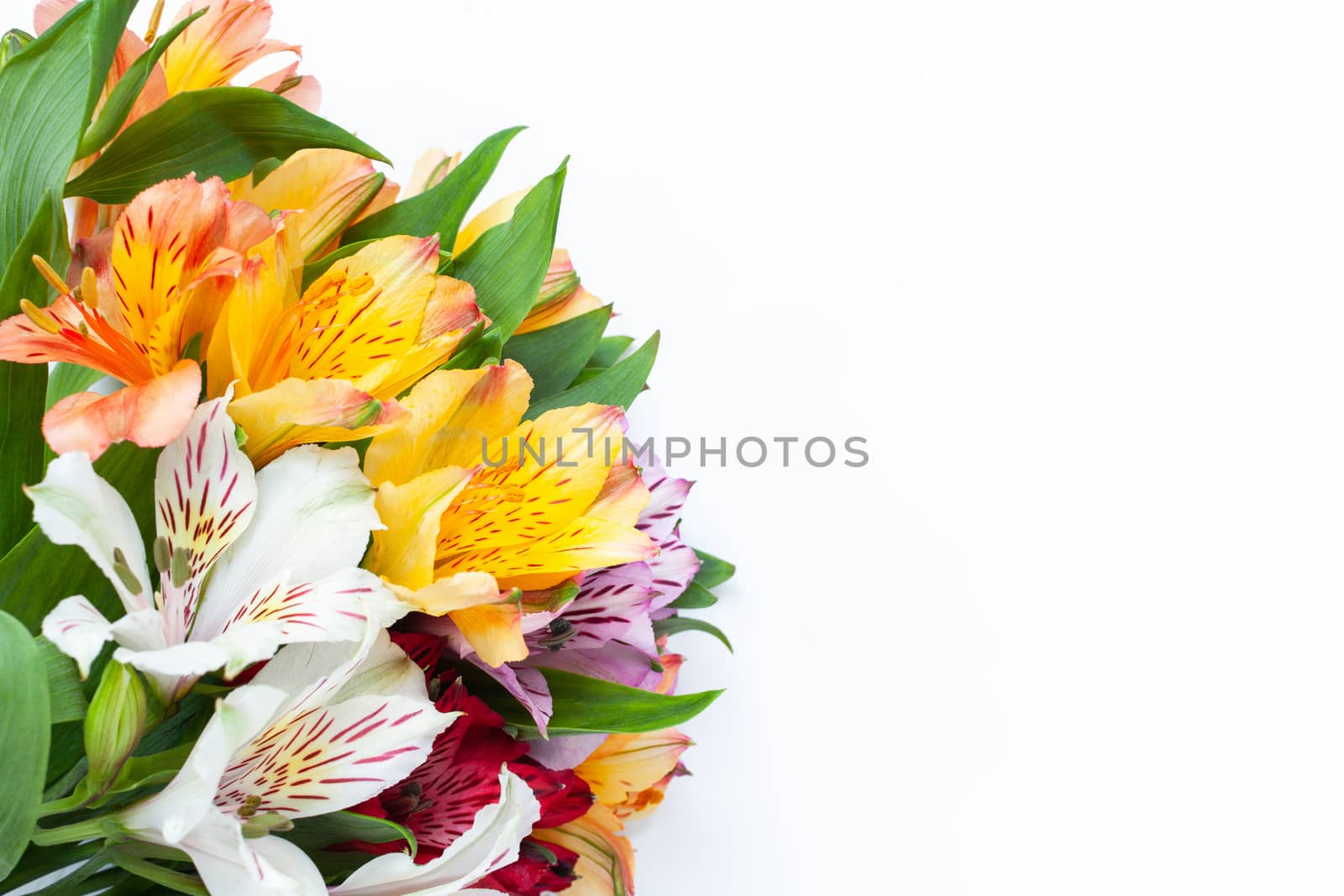 Bouquet of colorful flowers alstroemeria on white background. Flat lay. Horizontal. Mockup with copy space for greeting card, social media, flower delivery, Mother's day, Women's Day
