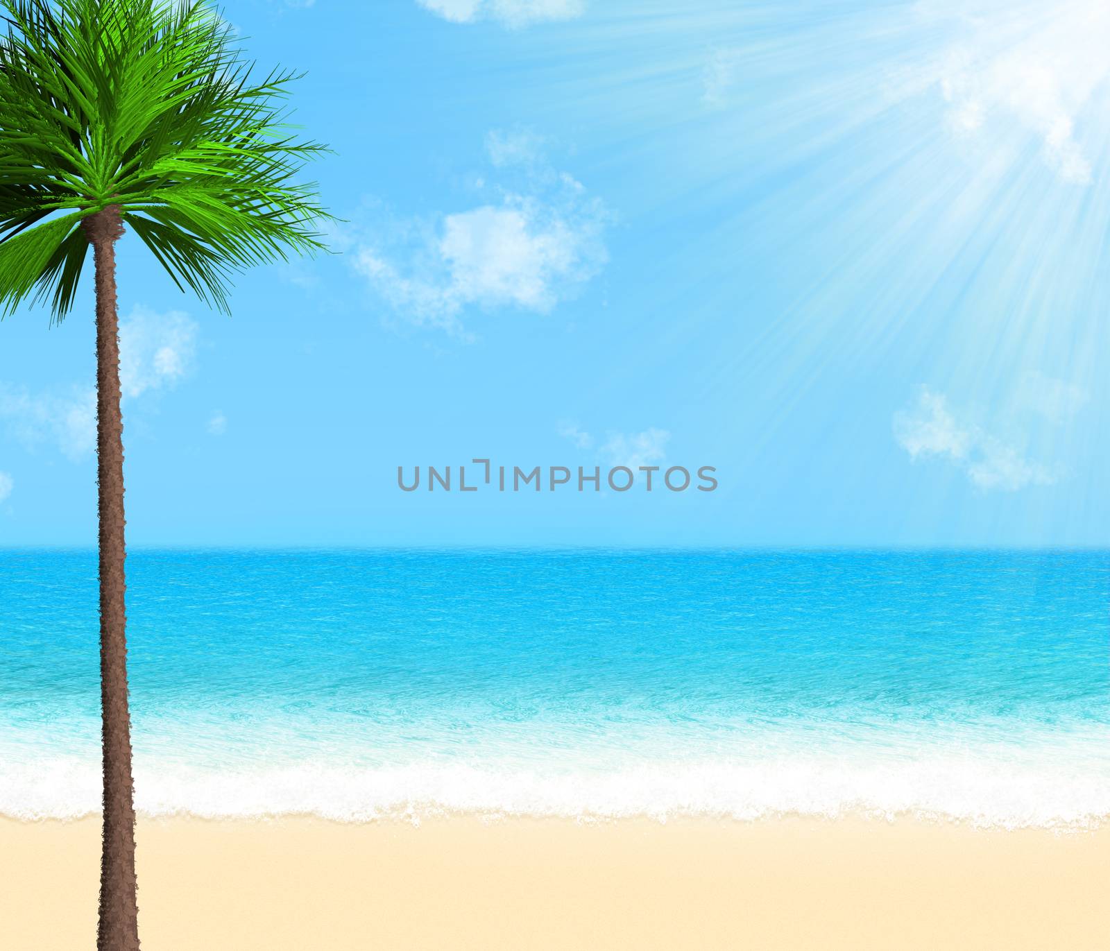 Summer beach realistic illustration. Plam tree on the coast in the sunshine.