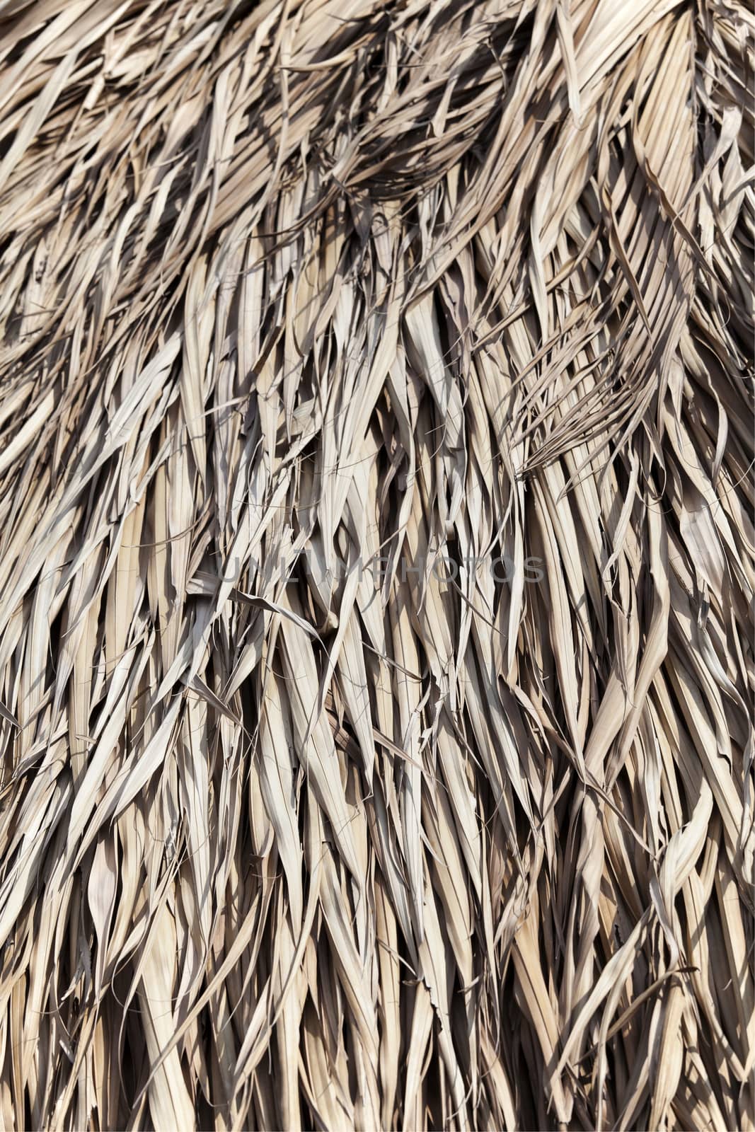 Close up of thatched roof for texture or background