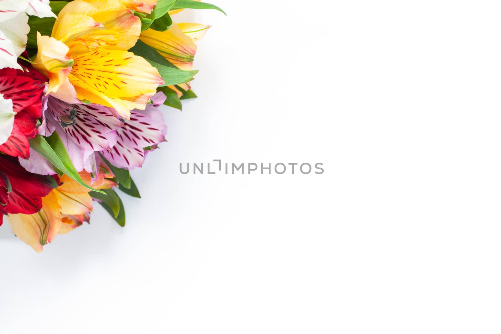 Bouquet of colorful flowers alstroemeria on white background. Flat lay. Horizontal. Mockup with copy space for greeting card, social media, flower delivery, Mother's day, Women's Day.