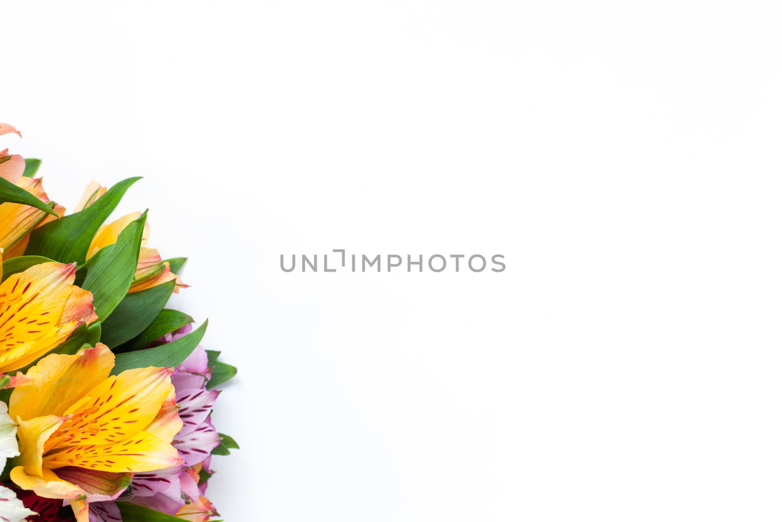 Bouquet of colorful flowers alstroemeria on white background. Flat lay. Horizontal. Mockup with copy space for greeting card, social media, flower delivery, Mother's day, Women's Day