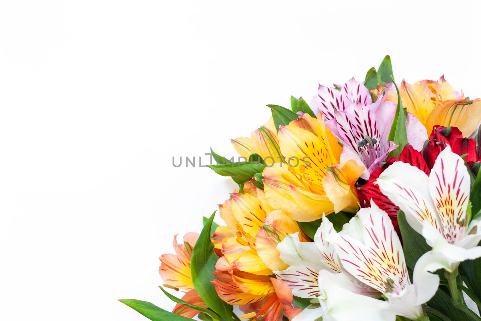 Bouquet of colorful flowers alstroemeria on white background. Flat lay. Horizontal. Mockup with copy space for greeting card, social media, flower delivery, Mother's day, Women's Day