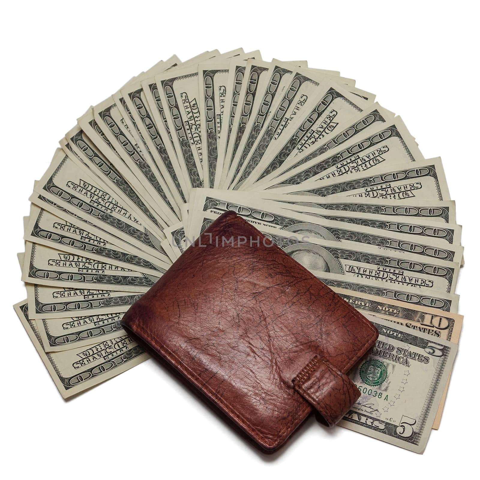 Purse the lying on dollars, close up on a white background