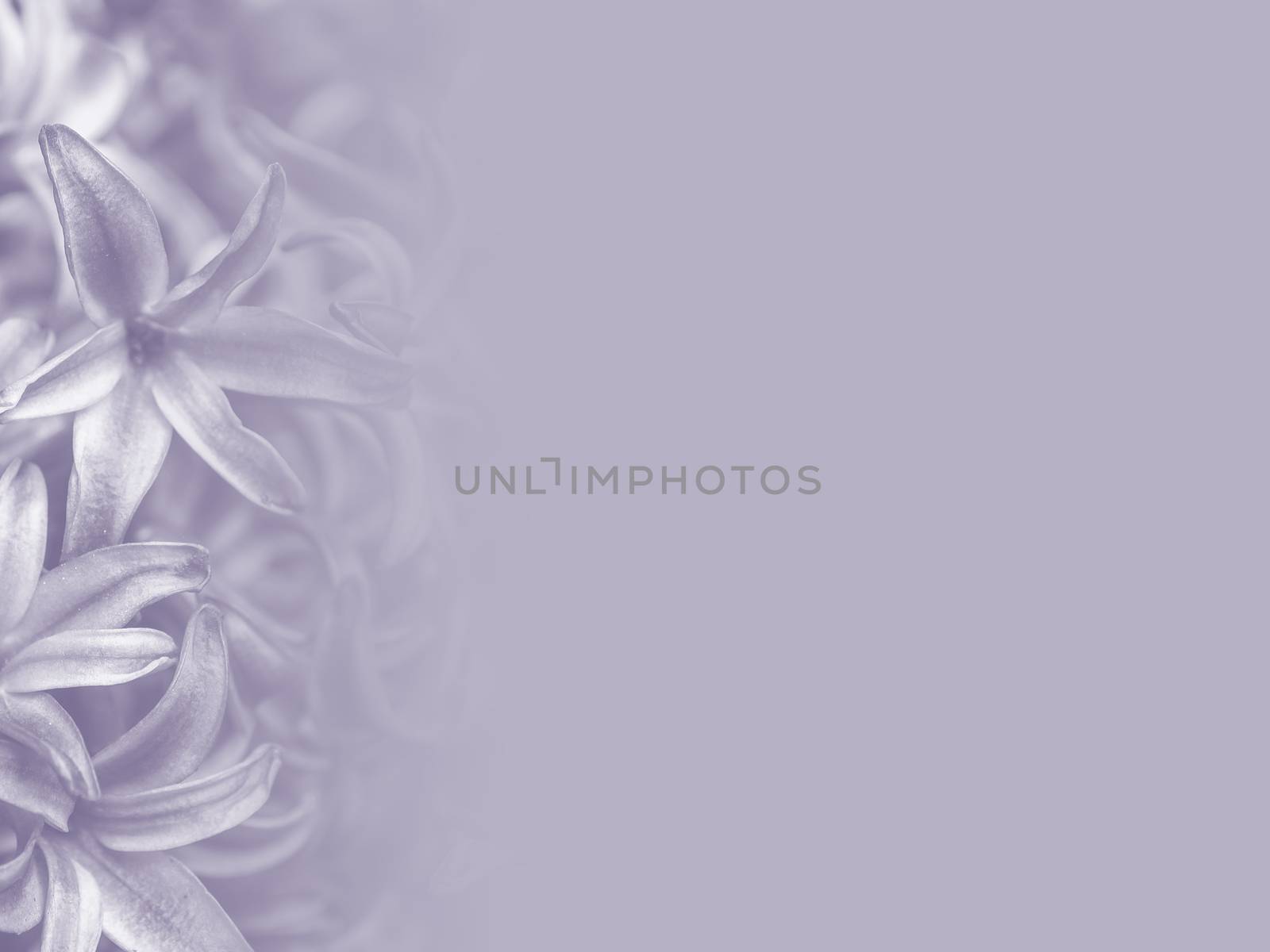 abstract flower background illustration by simpleBE