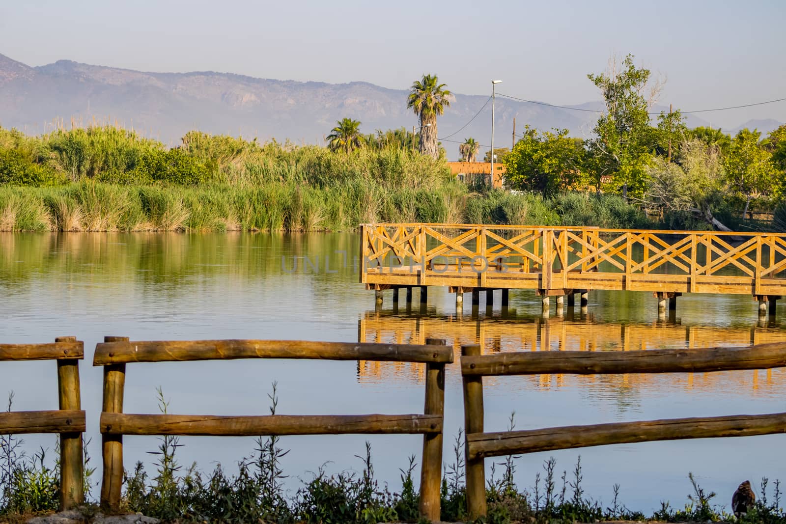 Jetty for bird watching in the natural landscape of Nules