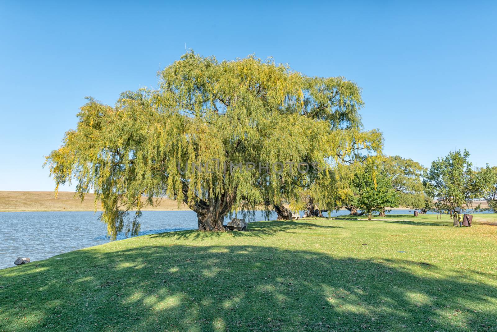 Camping sites next to the dam at Vrede in the Free State Province