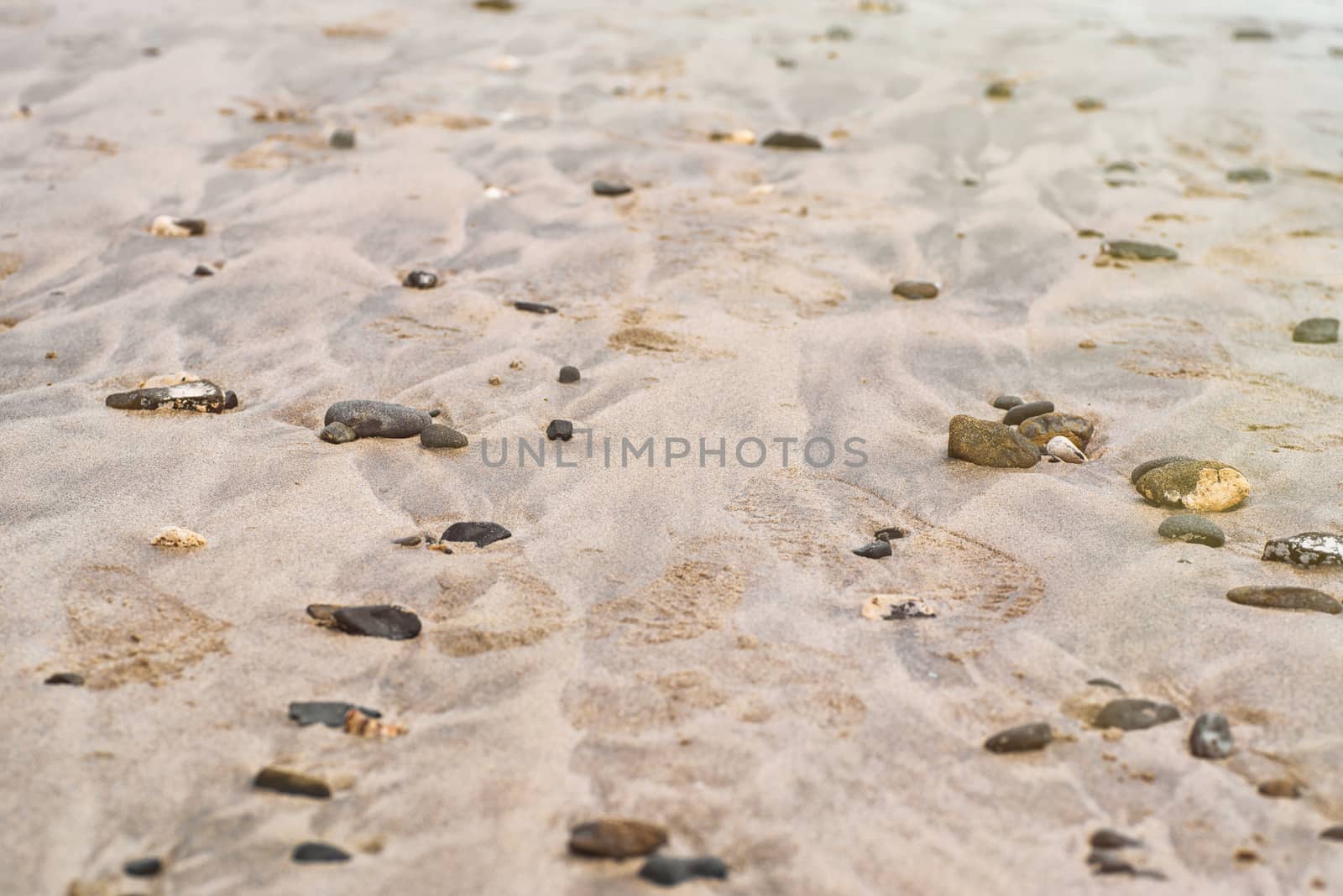 Sea shells on the sandy beach. Sea shells and stones on the sea yellow beach.