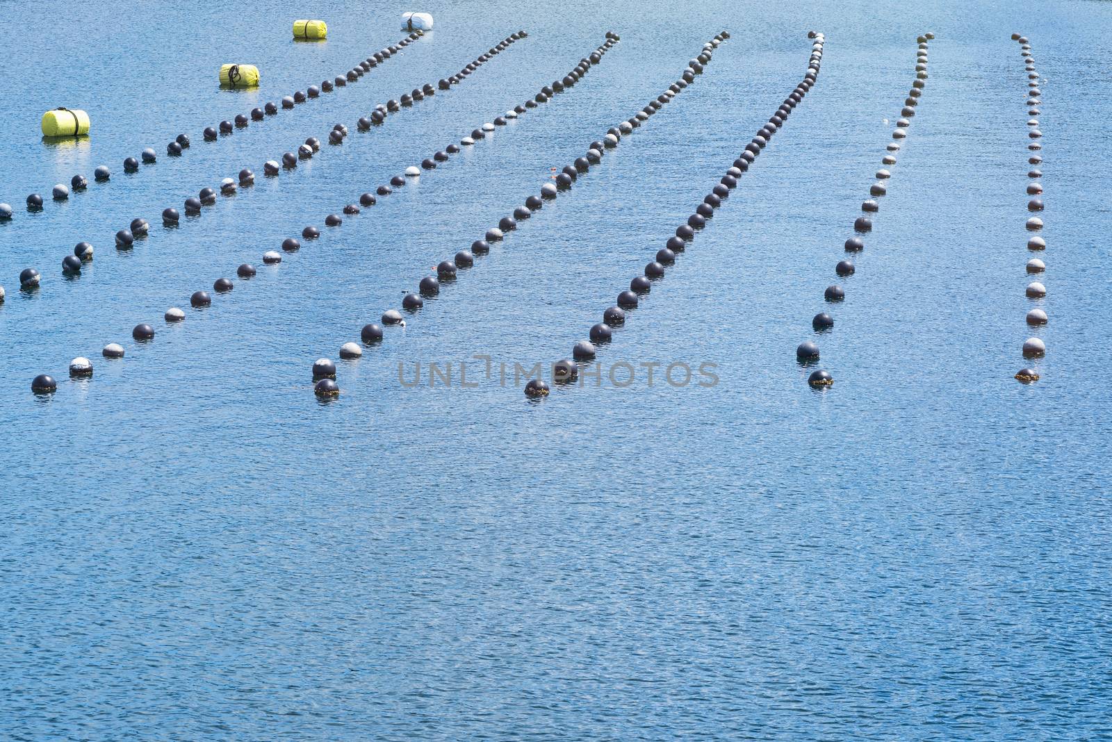 Pearl rows in the ocean, production and cultivation of pearls in the ocean. landscape and Pearl aqua farming cultivation Shima Japan.