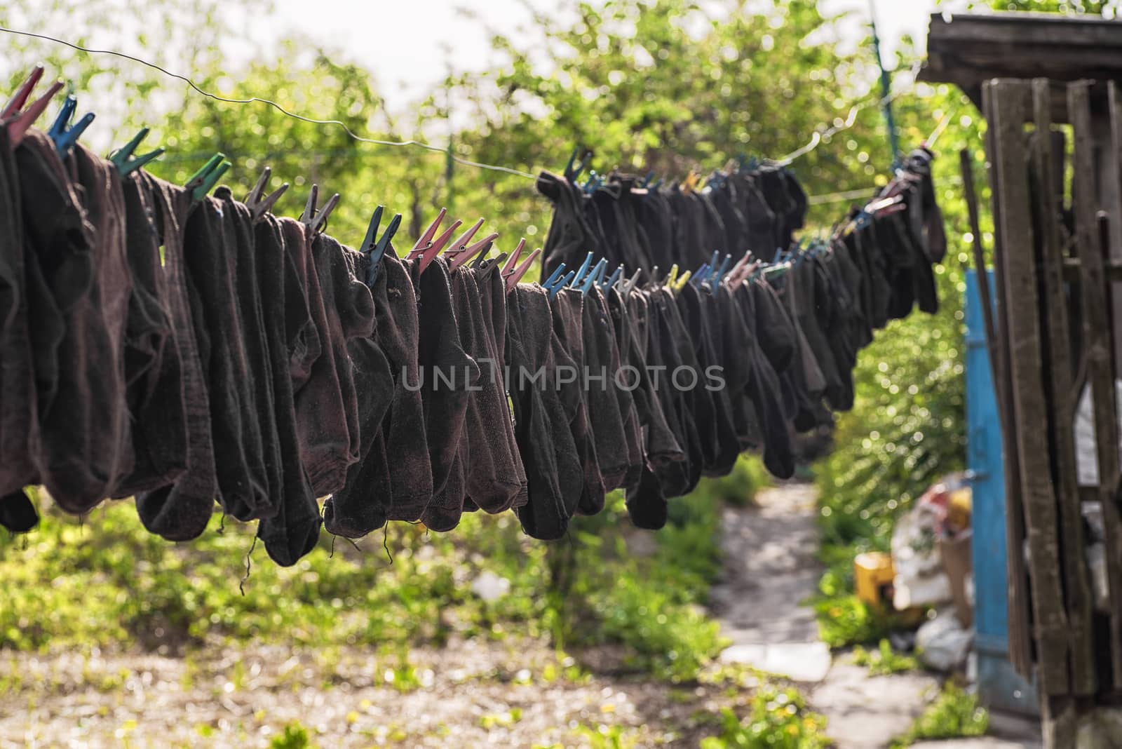 Washed socks hanging on a rope dried.Washing socks.