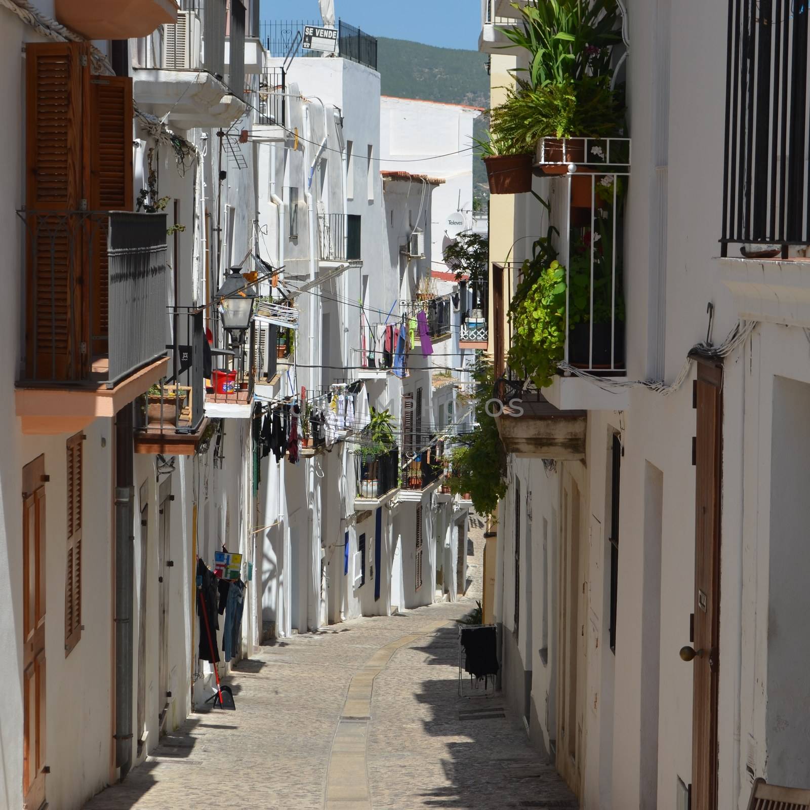 Narrow Side Streets with Houses in Ibiza Spain