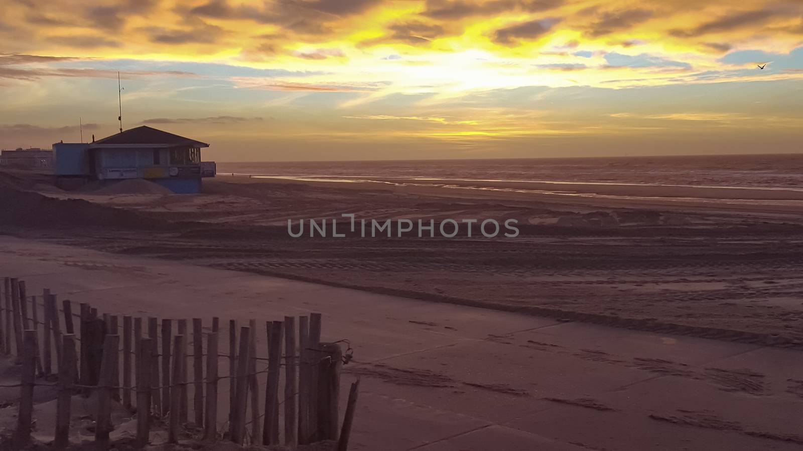 Sunset in Noordwijk The Netherlands Along the Beach with yellow Sky