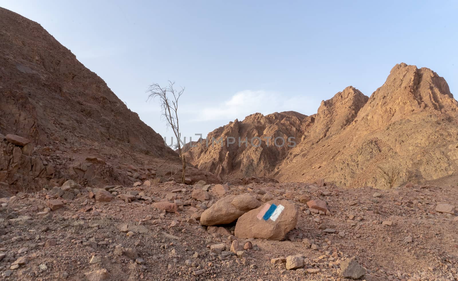 Hiking in desert nature landscape for health and vacation