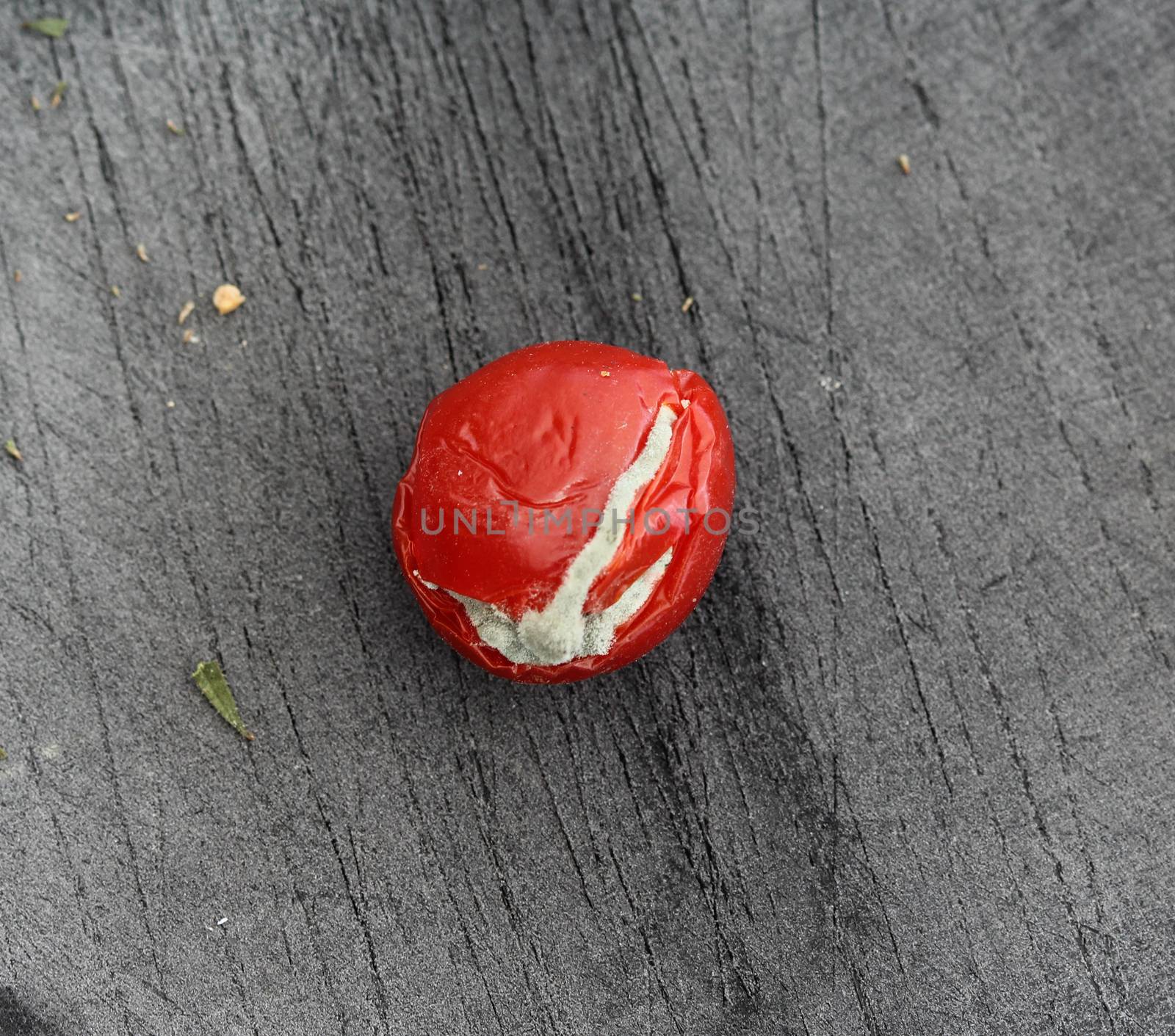 close up of Rotten cherry tomato on black cutting board background