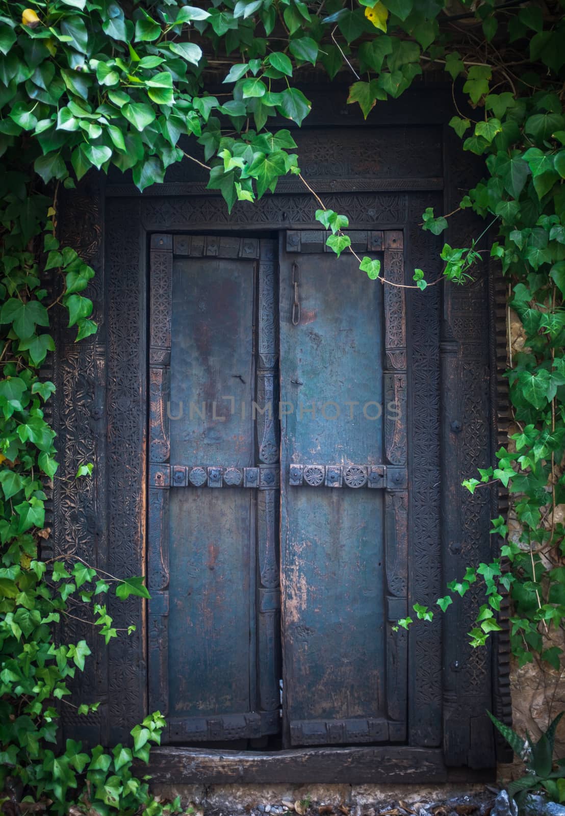 Ivy Surrounding An Old Wooden Door To A Secret Garden At An Old Mansion House