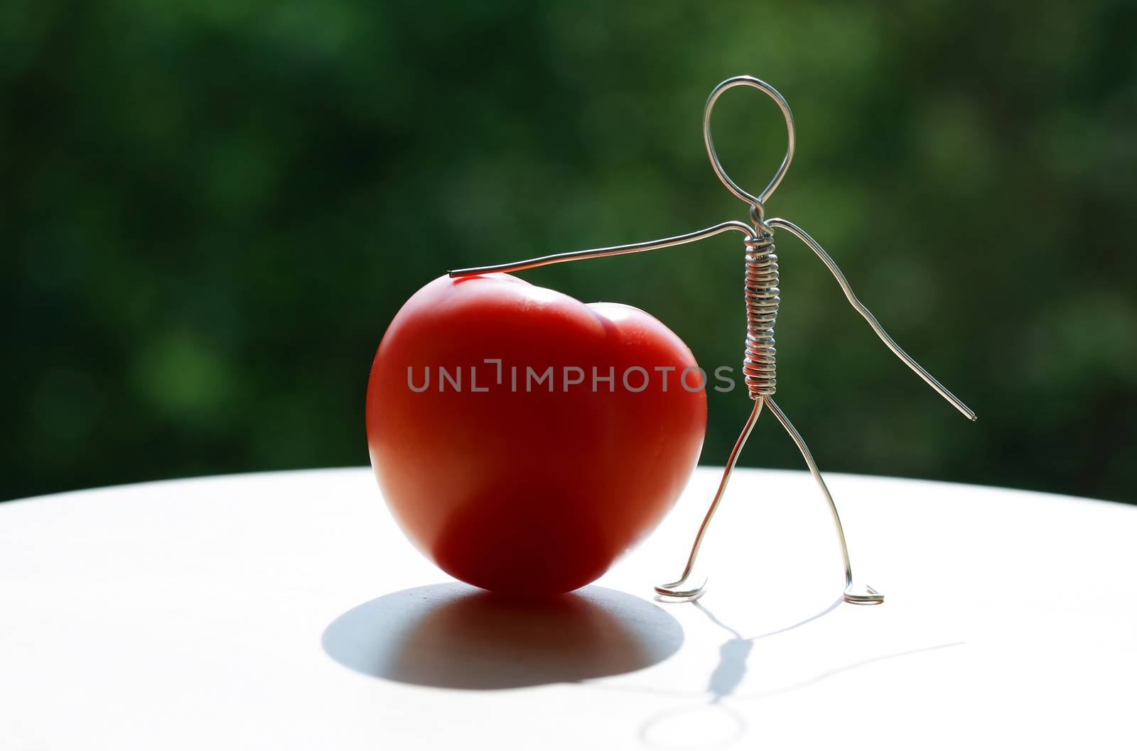 Tomato Rich Harvest by kvkirillov