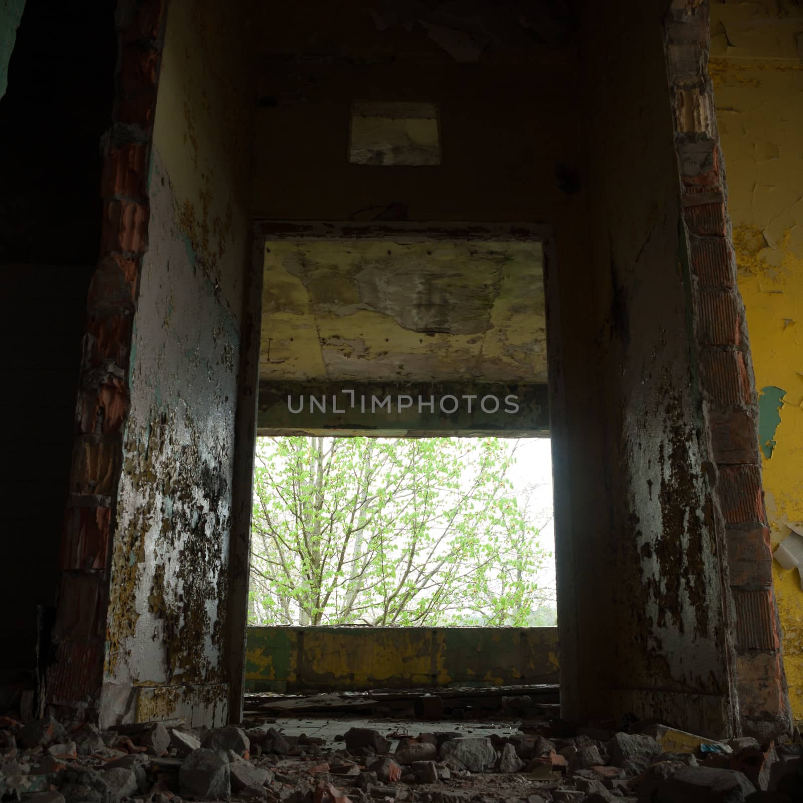 ruins of a very heavily polluted industrial factory, industrial series