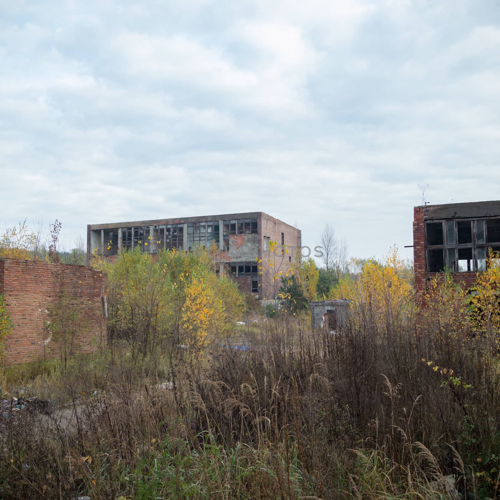 ruins of a very heavily polluted industrial factory, industrial series