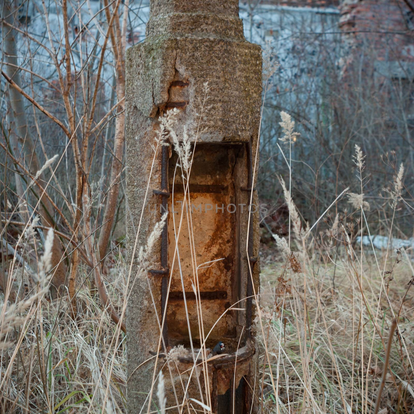 ruins of a very heavily polluted industrial factory, industrial series