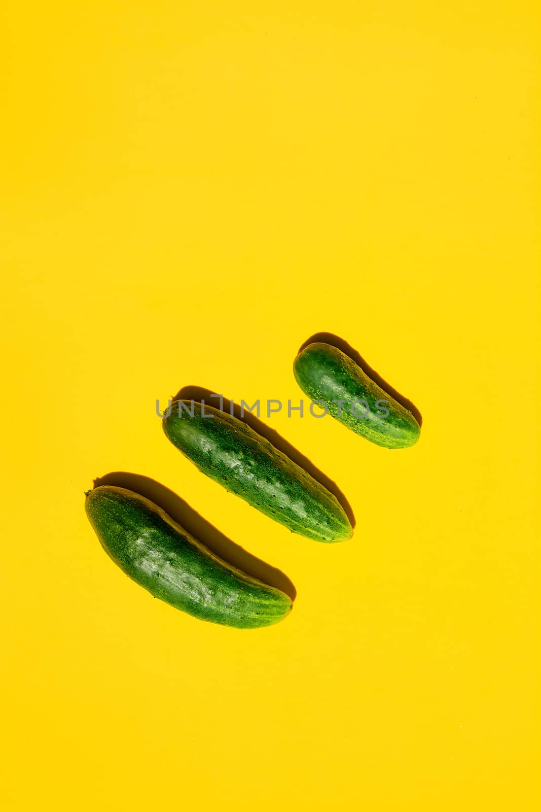 Concept Cucumbers Family on a yellow background. Dad mom baby. Cucumbers for designers. Top view. Cucumber harvest. Cucumber background. Farming, gardening, agriculture, harvesting and people concept.