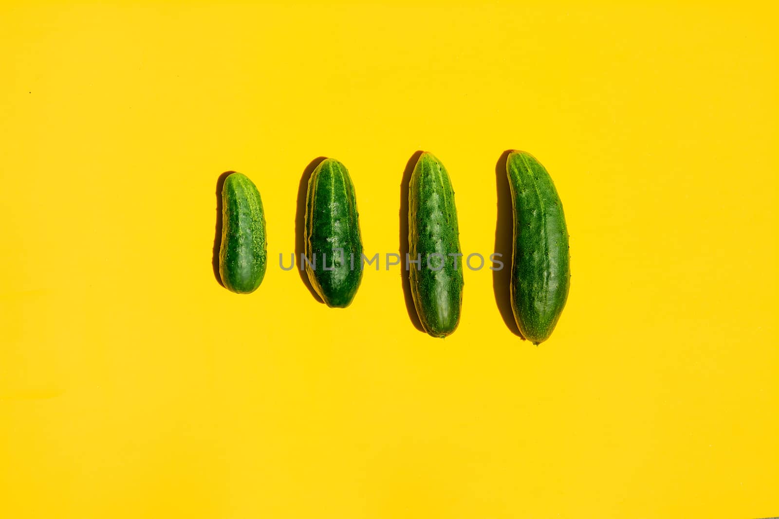 Concept Cucumbers Family on a yellow background. Dad mom baby. Copyspace for designers. Top view. by nixrenas