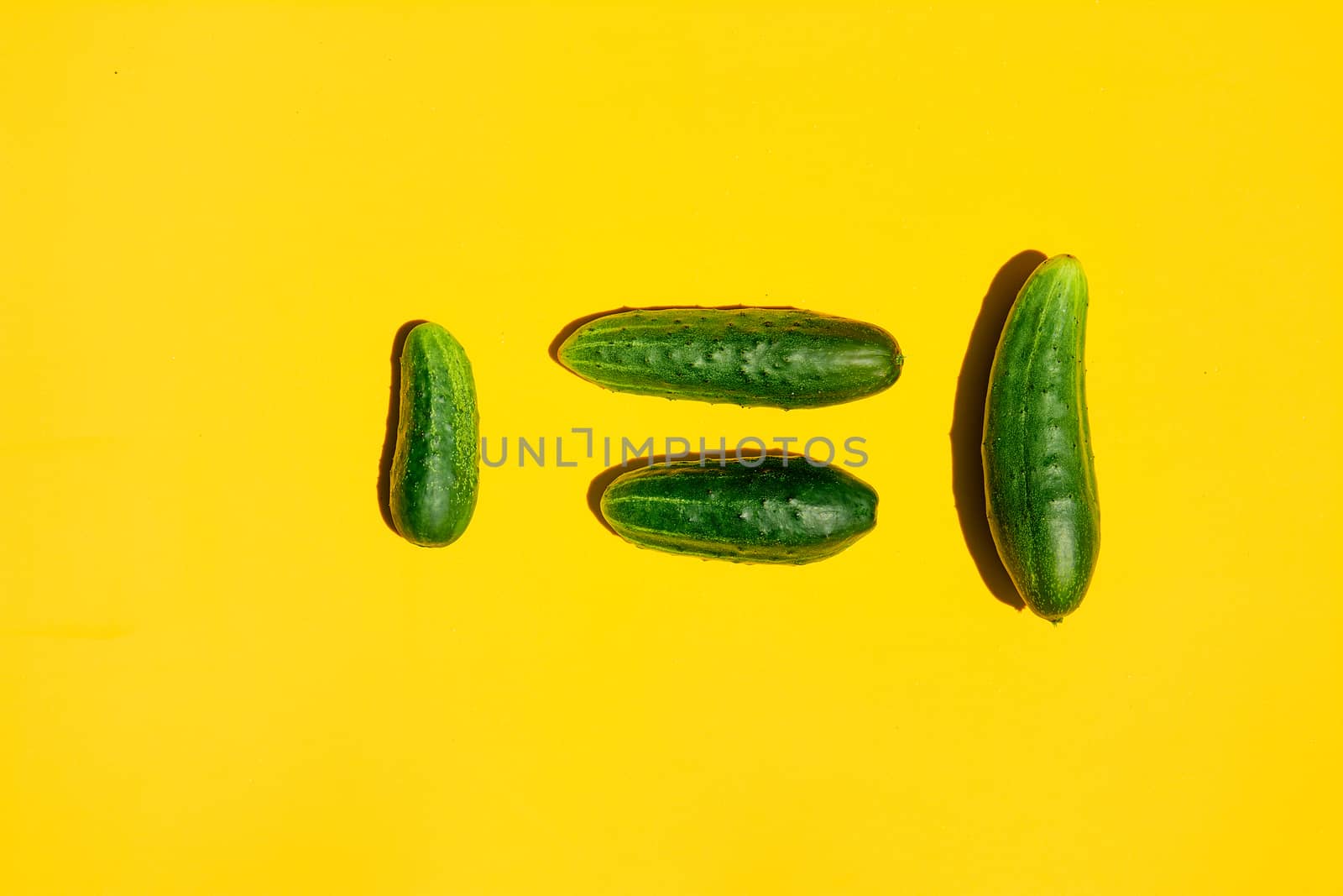 People equality concept on a yellow background. Copy space. Cucumbers for designers. Top view. Cucumber harvest. Cucumber background. Farming, gardening, agriculture, harvesting and people concept.