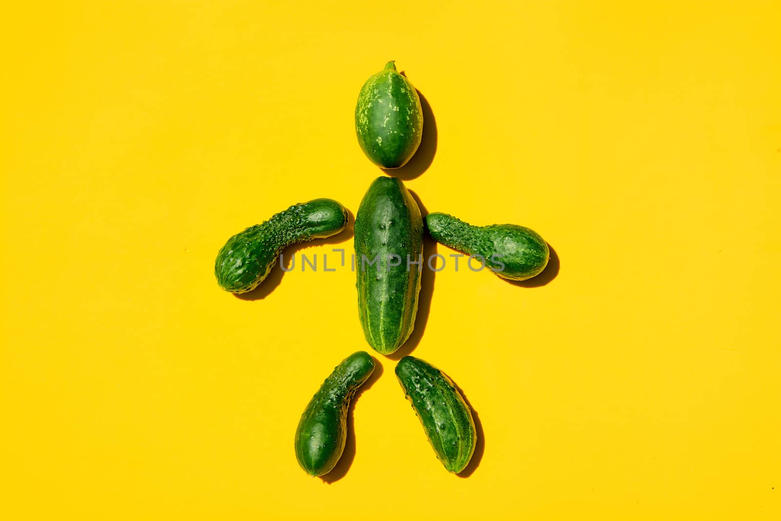 Cucumber man on a yellow background. Figure of man made from cucumbers. Copy space. Cucumbers for designers. Top view. Cucumber harvest. Farming, gardening, agriculture, harvesting and people concept.