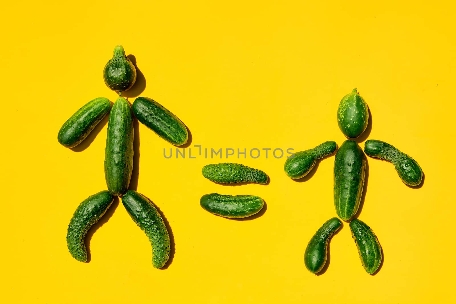 People equality diversity concept on a yellow background. Copy space. Cucumbers for designers. Top view. Cucumber harvest. Cucumber men. Figure of men made from cucumbers. Farming harvesting concept.