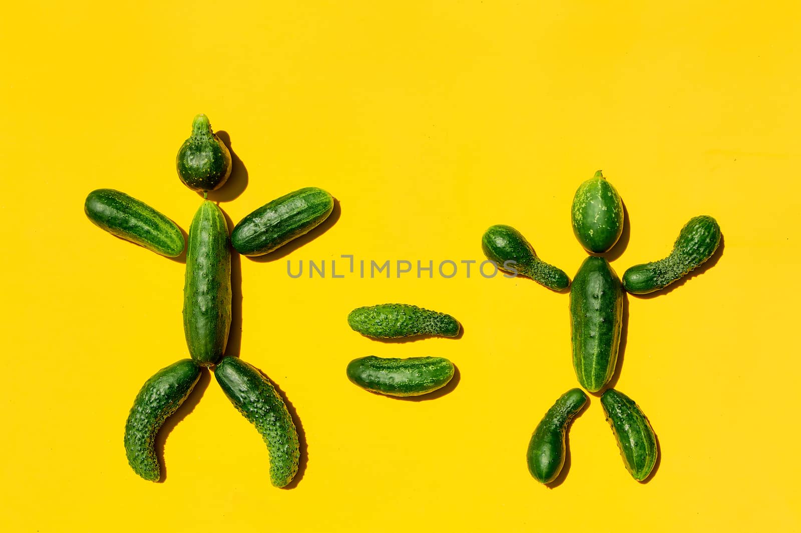 People equality diversity concept on a yellow background. Copy space. Cucumbers for designers. Top view. Cucumber harvest. Cucumber men. Figure of men made from cucumbers. Farming harvesting concept.