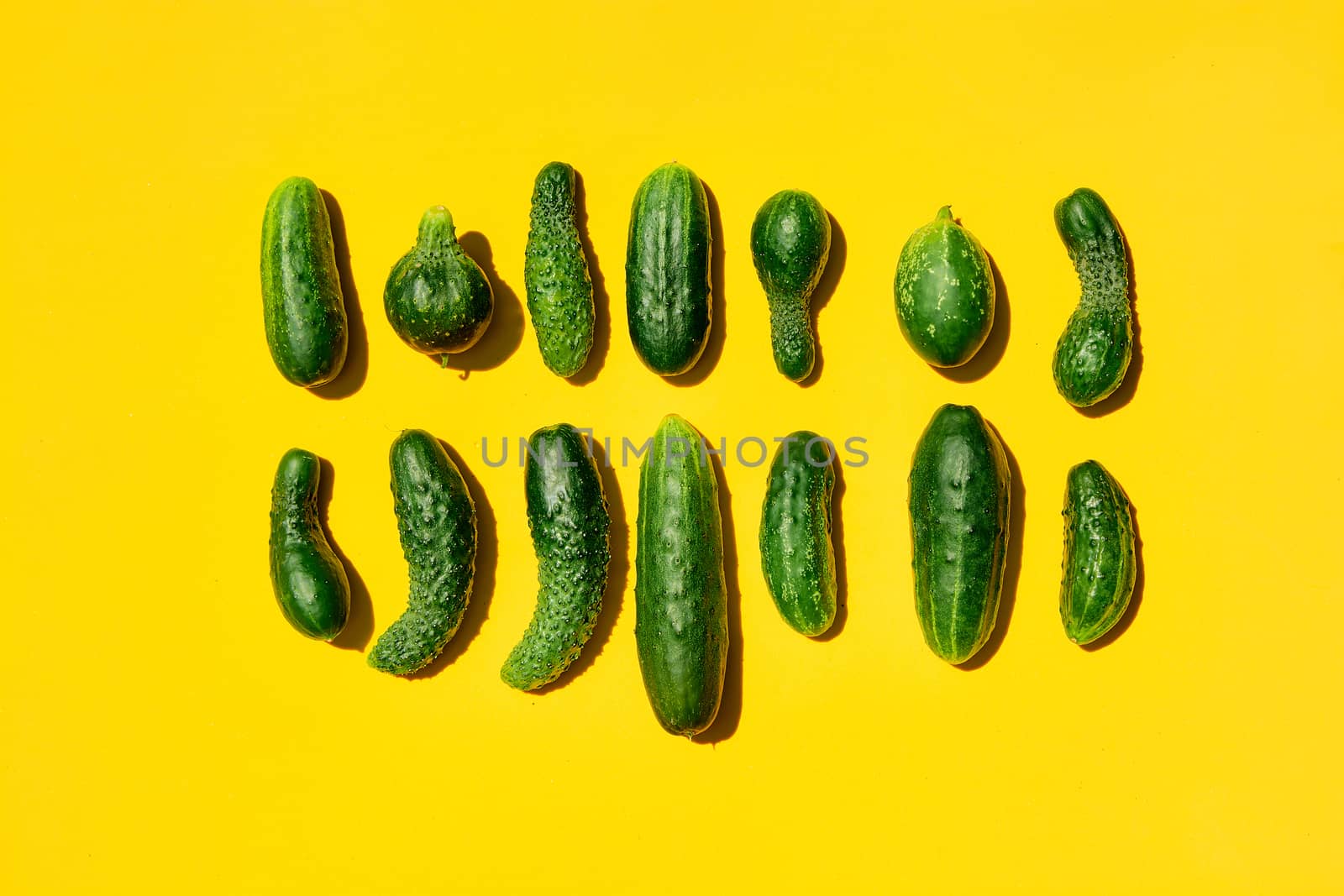Different sizes forms cucumbers pattern on a light yellow background. Copy space. Cucumbers background close-up. Top view. Cucumber harvest. Cucumbers texture wallpaper. Farming, harvesting concept.