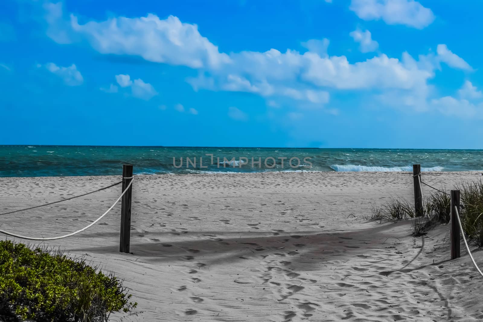 Opening To The Beach in Key Biscayne Florida by TheDutchcowboy