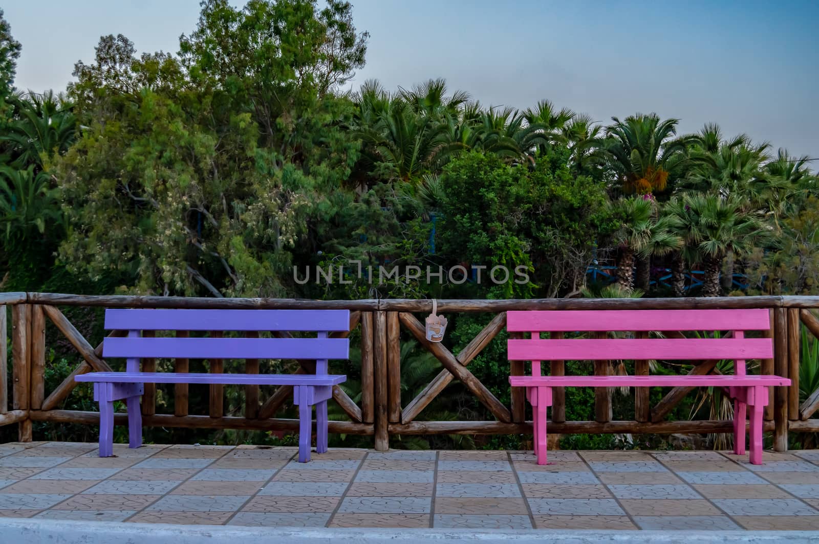 Two wooden benches of blue and pink color in front of a palm tree in the village of Sisi in Crete