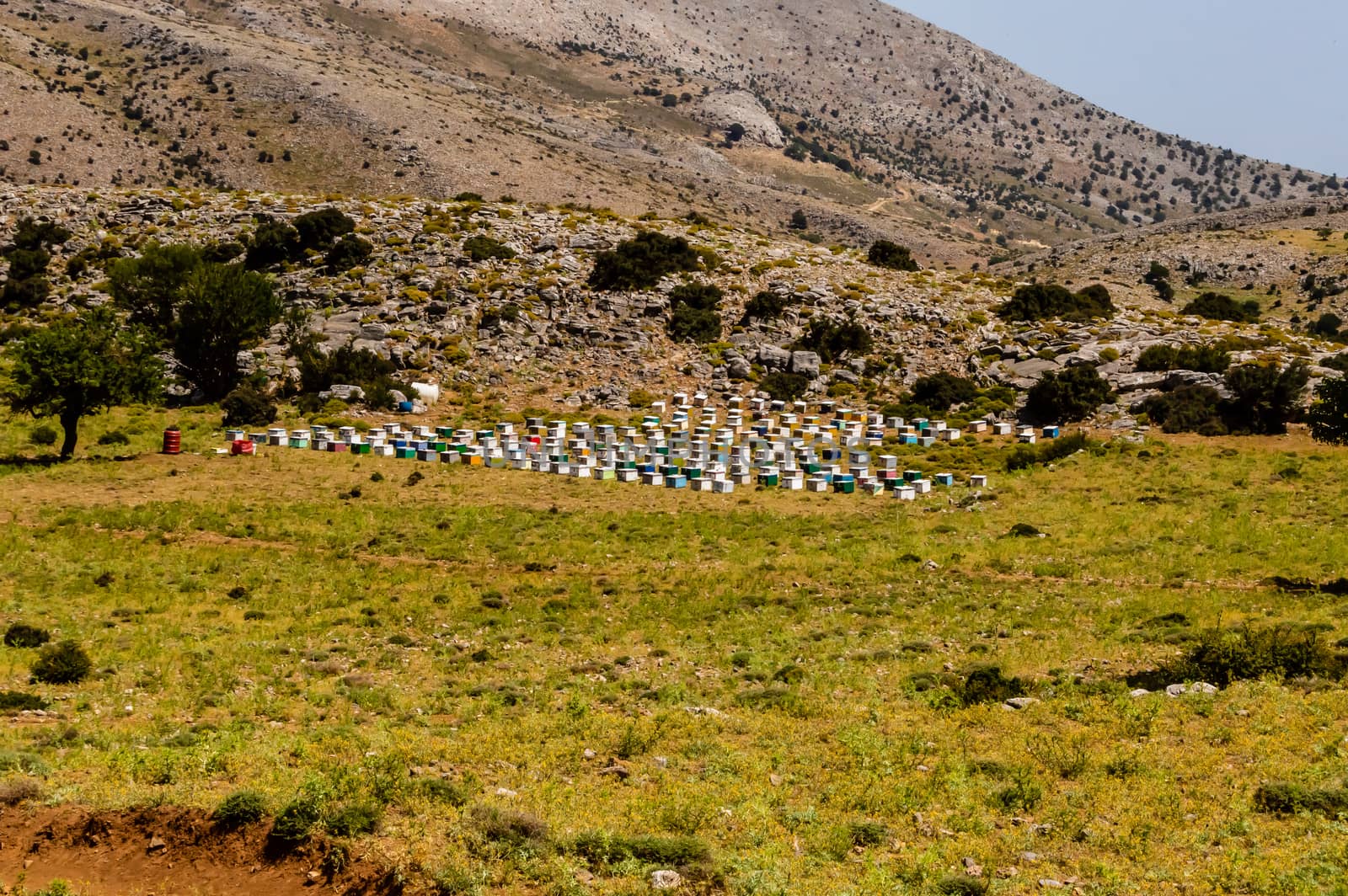 Several hives of different colors pose on tires. In the countryside on the island of Crete