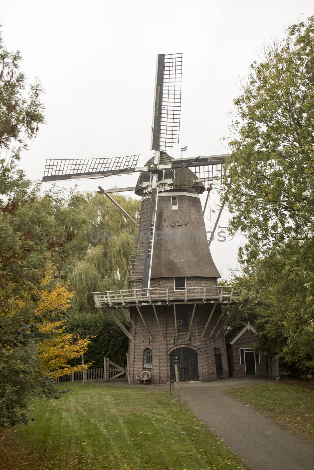 A small windmill hidden between trees with a small cobblestone path leading to it