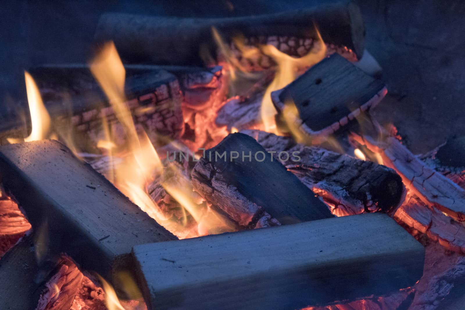 Close up of campfire by bluiten